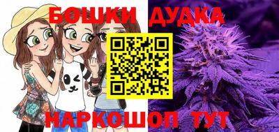 сатива Бузулук