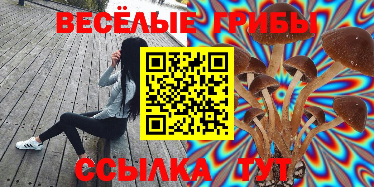 купить наркотики сайты  Галлюциногенные грибы Cubensis  Вход с VPN  Самара 